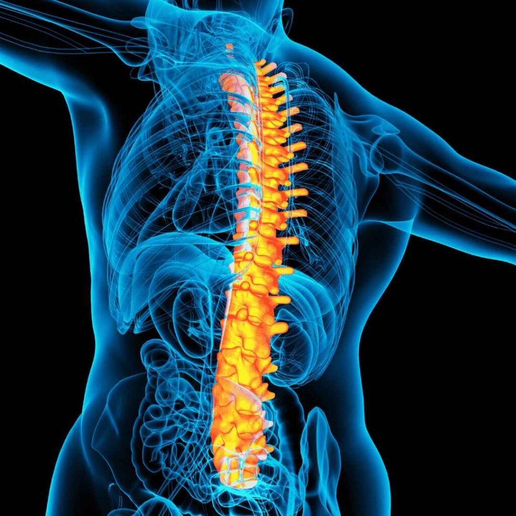 Spine Surgery Department