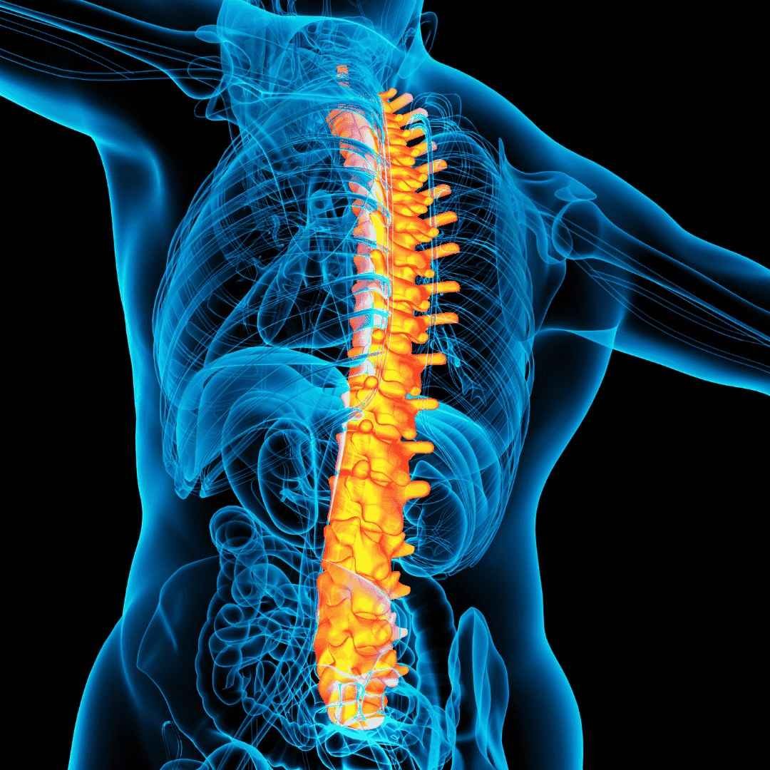 Spine Surgery Department